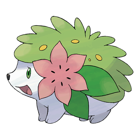 Obrazek